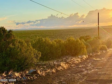 Tiny photo for 0 W Weber Rd Lots A & B 10 Acres, Show Low, AZ 85901 (MLS # 258296)