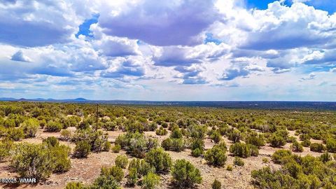 Tiny photo for 0 W Weber Rd Lots A & B 10 Acres, Show Low, AZ 85901 (MLS # 258296)
