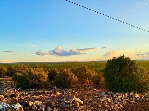 Tiny photo for 0 W Weber Rd Lots A & B 10 Acres, Show Low, AZ 85901 (MLS # 258296)