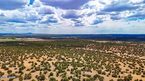 Tiny photo for 0 W Weber Rd Lots A & B 10 Acres, Show Low, AZ 85901 (MLS # 258296)