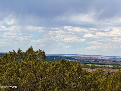 Tiny photo for 0 W Weber Rd Lots A & B 10 Acres, Show Low, AZ 85901 (MLS # 258296)