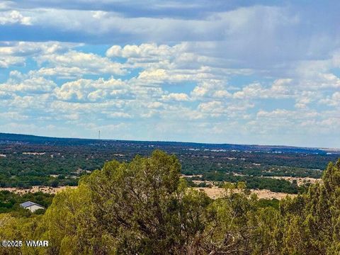 Tiny photo for 0 W Weber Rd Lots A & B 10 Acres, Show Low, AZ 85901 (MLS # 258296)