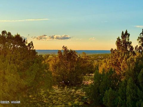 Tiny photo for 0 W Weber Rd Lots A & B 10 Acres, Show Low, AZ 85901 (MLS # 258296)