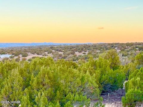 Tiny photo for 0 W Weber Rd Lots A & B 10 Acres, Show Low, AZ 85901 (MLS # 258296)