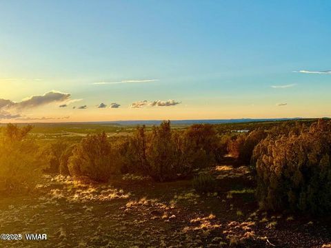 Tiny photo for 0 W Weber Rd Lots A & B 10 Acres, Show Low, AZ 85901 (MLS # 258296)