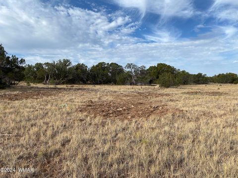 Tiny photo for 8332 Pinon Drive, Show Low, AZ 85901 (MLS # 255690)