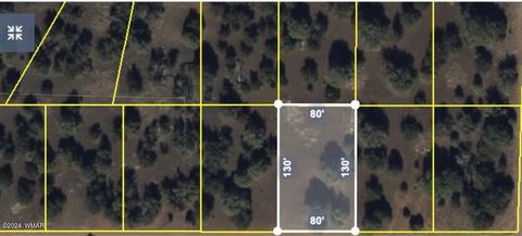 Tiny photo for 8332 Pinon Drive, Show Low, AZ 85901 (MLS # 255690)