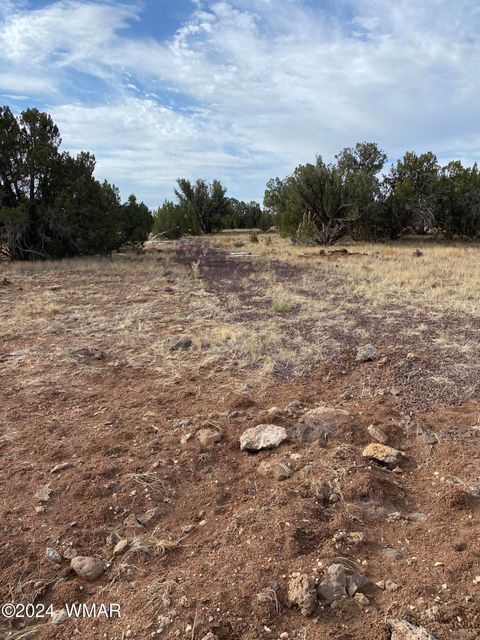 Tiny photo for 8332 Pinon Drive, Show Low, AZ 85901 (MLS # 255690)