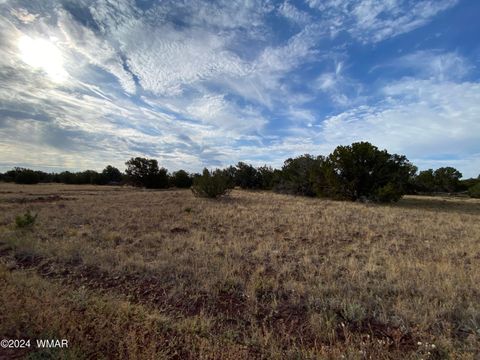 Tiny photo for 8332 Pinon Drive, Show Low, AZ 85901 (MLS # 255690)