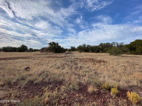 Tiny photo for 8332 Pinon Drive, Show Low, AZ 85901 (MLS # 255690)