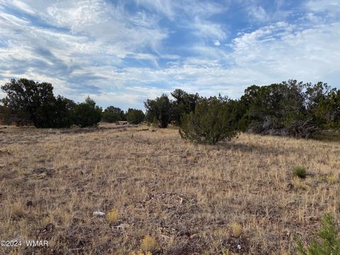 Tiny photo for 8332 Pinon Drive, Show Low, AZ 85901 (MLS # 255690)
