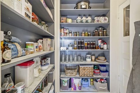 Tiny photo for 49 N Zuni Street, Springerville, AZ 85938 (MLS # 258969)