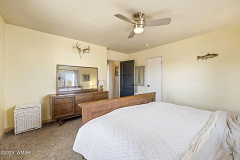 Tiny photo for 49 N Zuni Street, Springerville, AZ 85938 (MLS # 258969)