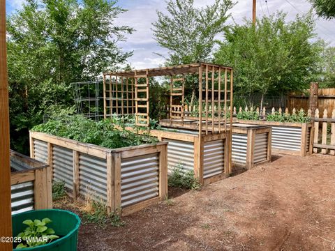 Tiny photo for 49 N Zuni Street, Springerville, AZ 85938 (MLS # 258969)