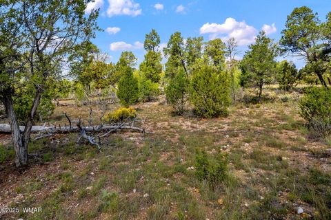 Tiny photo for 1909 Chevelon Road, Heber, AZ 85928 (MLS # 258205)