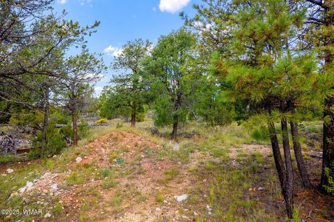 Tiny photo for 1909 Chevelon Road, Heber, AZ 85928 (MLS # 258205)