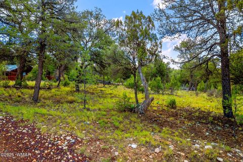 Tiny photo for 1909 Chevelon Road, Heber, AZ 85928 (MLS # 258205)