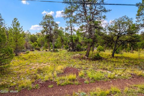 Tiny photo for 1909 Chevelon Road, Heber, AZ 85928 (MLS # 258205)
