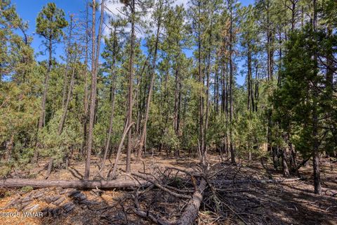Tiny photo for 2038 Pine Wood Lane, Pinetop, AZ 85935 (MLS # 256760)