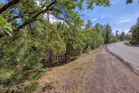 Tiny photo for 2038 Pine Wood Lane, Pinetop, AZ 85935 (MLS # 256760)