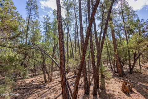 Photo of 2038 Pine Wood Lane, Pinetop, AZ 85935 (MLS # 256760)