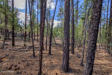 Tiny photo for 2038 Pine Wood Lane, Pinetop, AZ 85935 (MLS # 256760)