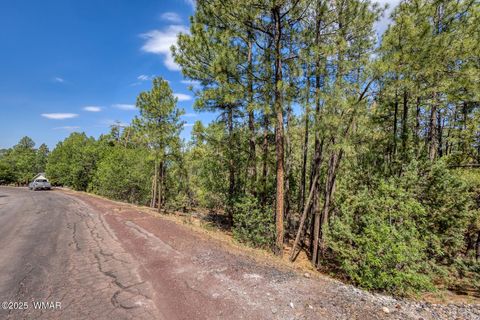 Tiny photo for 2038 Pine Wood Lane, Pinetop, AZ 85935 (MLS # 256760)