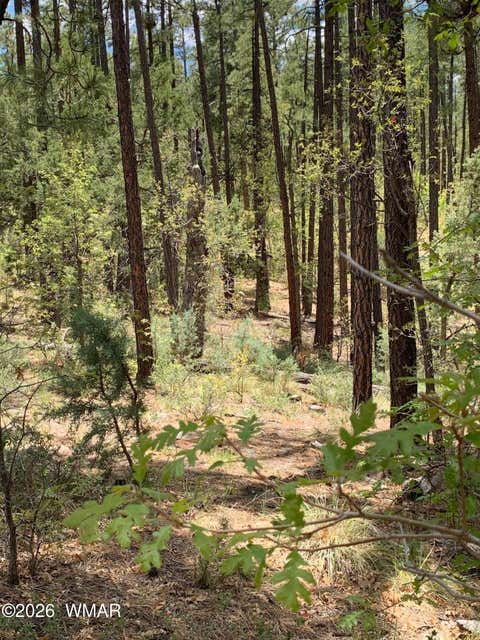 Tiny photo for 1400 W Manzanita Trail, Lakeside, AZ 85929 (MLS # 262071)