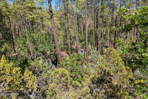 Tiny photo for 1400 W Manzanita Trail, Lakeside, AZ 85929 (MLS # 262071)