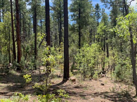 Tiny photo for 1400 W Manzanita Trail, Lakeside, AZ 85929 (MLS # 262071)