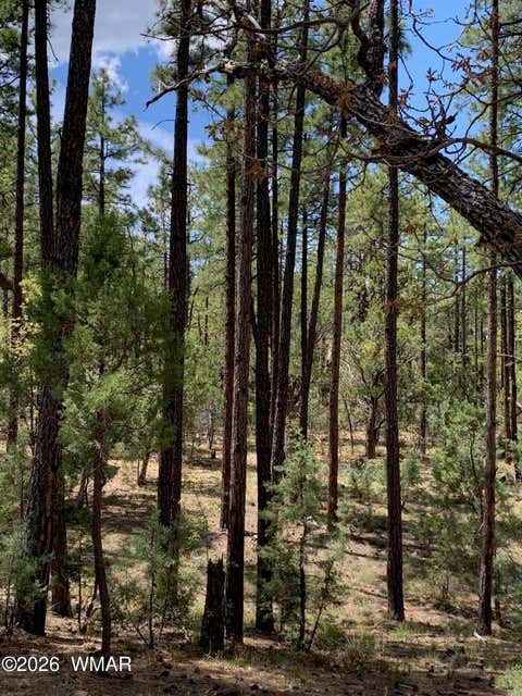 Tiny photo for 1400 W Manzanita Trail, Lakeside, AZ 85929 (MLS # 262071)