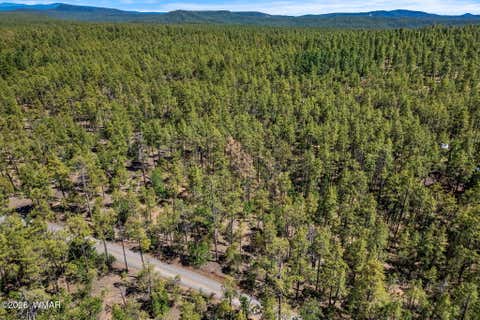 Tiny photo for 1400 W Manzanita Trail, Lakeside, AZ 85929 (MLS # 262071)