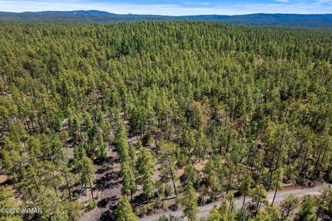 Tiny photo for 1400 W Manzanita Trail, Lakeside, AZ 85929 (MLS # 262071)