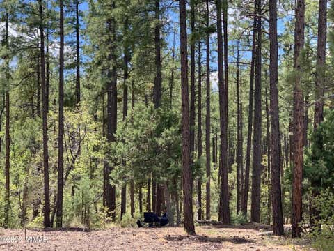 Tiny photo for 1400 W Manzanita Trail, Lakeside, AZ 85929 (MLS # 262071)