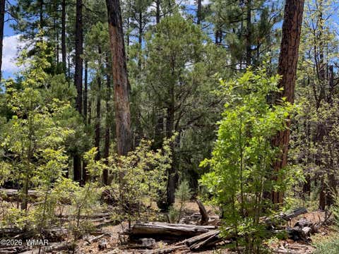 Tiny photo for 1400 W Manzanita Trail, Lakeside, AZ 85929 (MLS # 262071)