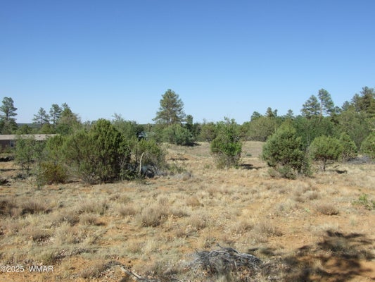 LAMB DR, PINEDALE, AZ 85934 - Image 0eefd08bc2ab482aa00446d4f670be71/3036938995