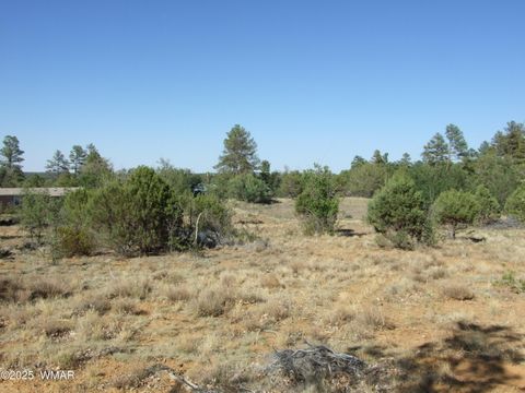 Photo of Parcel A Lamb Dr, Pinedale, AZ 85934 (MLS # 257564)