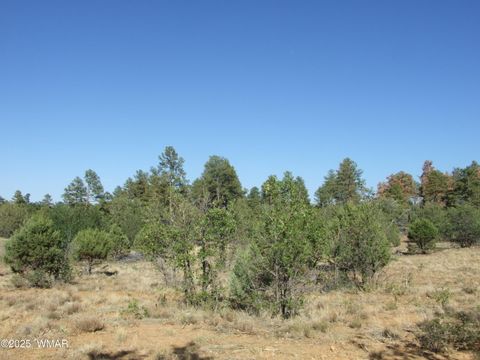 Tiny photo for Parcel A Lamb Dr, Pinedale, AZ 85934 (MLS # 257564)