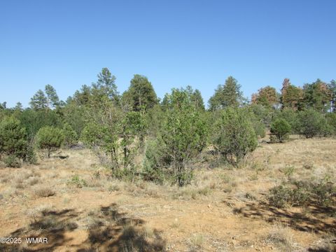 Tiny photo for Parcel A Lamb Dr, Pinedale, AZ 85934 (MLS # 257564)
