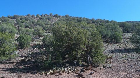 Tiny photo for 9591 Privette Trail, Snowflake, AZ 85937 (MLS # 258852)