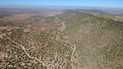 Tiny photo for 9591 Privette Trail, Snowflake, AZ 85937 (MLS # 258852)