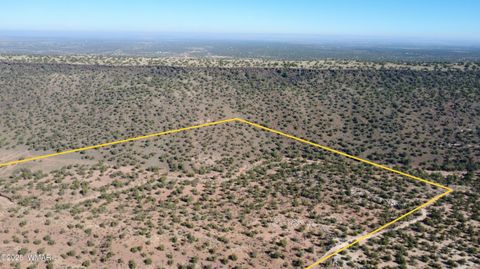 Tiny photo for 9591 Privette Trail, Snowflake, AZ 85937 (MLS # 258852)