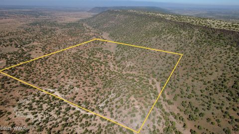 Tiny photo for 9591 Privette Trail, Snowflake, AZ 85937 (MLS # 258852)