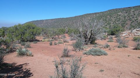 Tiny photo for 9591 Privette Trail, Snowflake, AZ 85937 (MLS # 258852)