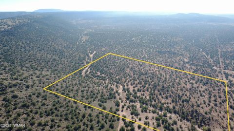 Tiny photo for 9591 Privette Trail, Snowflake, AZ 85937 (MLS # 258852)