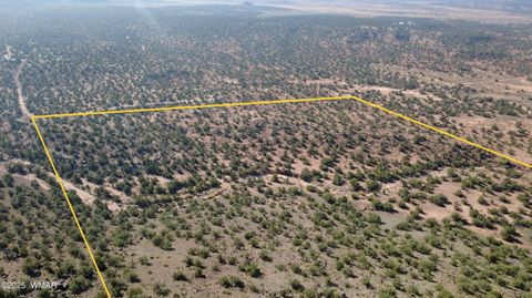 Tiny photo for 9591 Privette Trail, Snowflake, AZ 85937 (MLS # 258852)