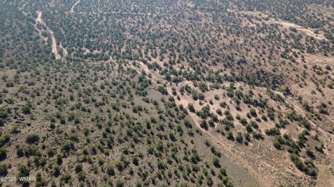 Tiny photo for 9591 Privette Trail, Snowflake, AZ 85937 (MLS # 258852)