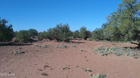 Tiny photo for 9591 Privette Trail, Snowflake, AZ 85937 (MLS # 258852)