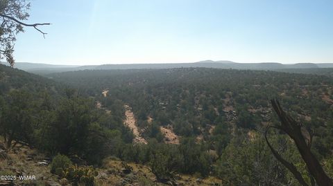 Tiny photo for 9591 Privette Trail, Snowflake, AZ 85937 (MLS # 258852)