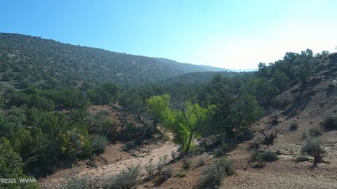 Tiny photo for 9591 Privette Trail, Snowflake, AZ 85937 (MLS # 258852)